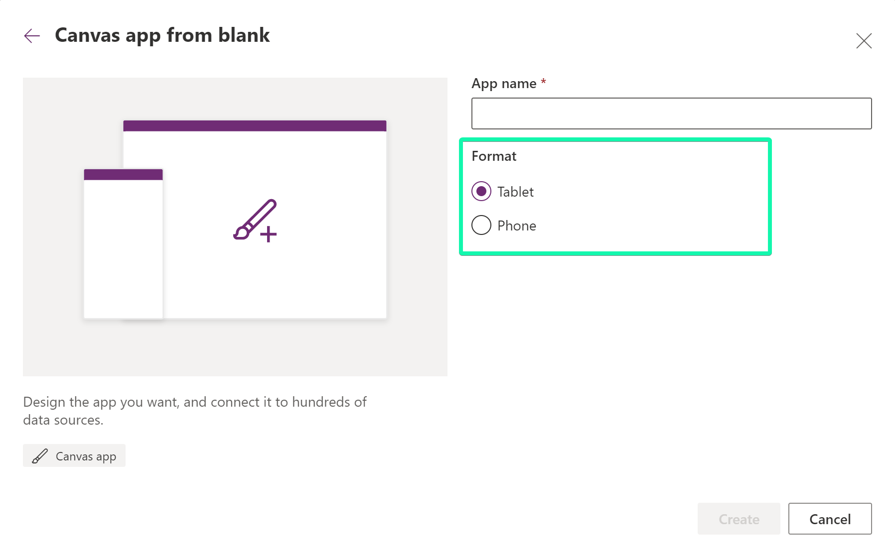 Canvas App Format Settings